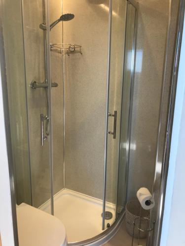 W łazience znajduje się kabina prysznicowa i toaleta. w obiekcie Sunny Bank Guest House w mieście Hythe
