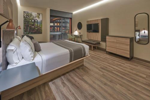 ein Hotelzimmer mit einem Bett und einem TV in der Unterkunft City Express Plus by Marriott San Luis Potosi in San Luis Potosí