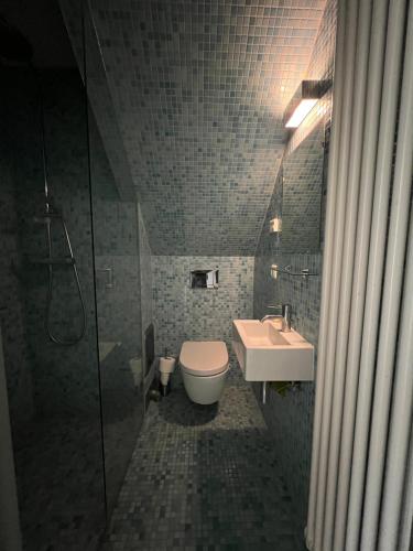 uma casa de banho com um WC e um lavatório em Dresden City Charme em Dresden