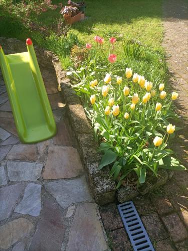 a garden with yellow flowers and a green drain at LE CLOS DE GRIGNON in Thiverval-Grignon