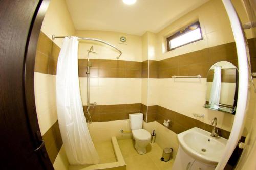 La salle de bains est pourvue de toilettes, d'un lavabo et d'une douche. dans l'établissement Aval-Bakuriani, à Bakuriani