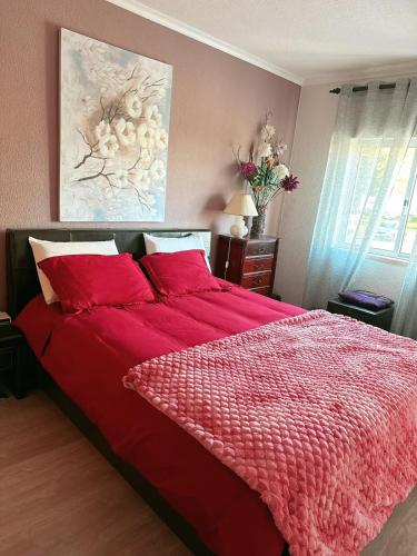 Katil atau katil-katil dalam bilik di Apartamento com boa luz e localização em Lisboa.