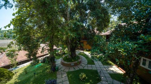 an overhead view of a tree in a courtyard at Mystery Maze Resort and Spa in Wayanad