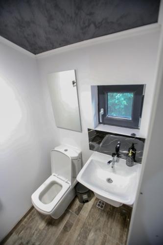 a small bathroom with a sink and a toilet at Casa Kevin in Năvodari