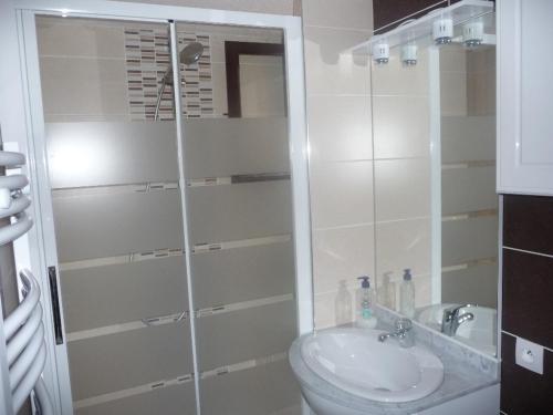 une salle de bain avec une douche, des toilettes et un lavabo dans l'établissement EUREKA LOCATIONS, au Cap d'Agde