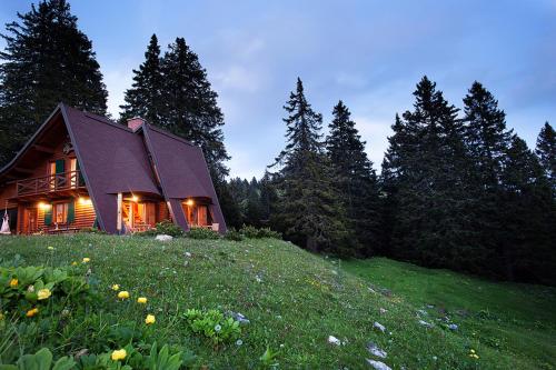 a house on top of a grassy hill with trees at Chalet Alpinka in Cerklje na Gorenjskem