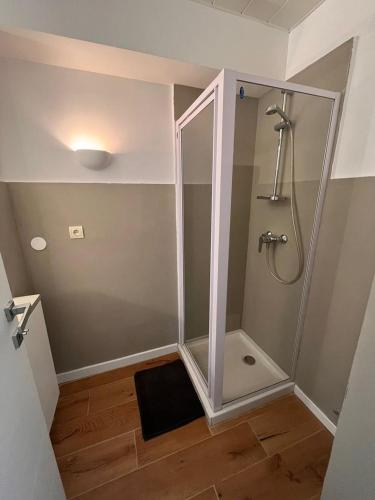 une douche avec une porte vitrée dans une salle de bain dans l'établissement Beautiful studio - Terrace, à Nice