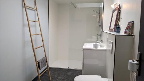 ein Badezimmer mit einer Leiter neben einem Kühlschrank in der Unterkunft chambre d'hôte la Sourdrie in Saint-Florent-le-Vieil