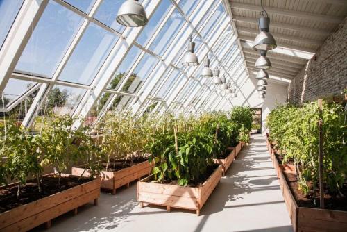 a greenhouse filled with lots of plants and lights at Vihula Manor Country Club & Spa in Vihula