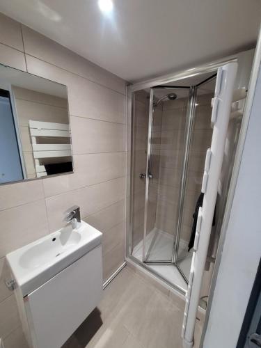 W łazience znajduje się prysznic i umywalka. w obiekcie Villa Bellevue 1857 w mieście Arromanches-les-Bains