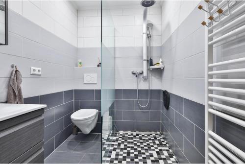 La salle de bains est pourvue d'une douche, de toilettes et d'un lavabo. dans l'établissement Esch/Alzette apartment, à Esch-sur-Alzette