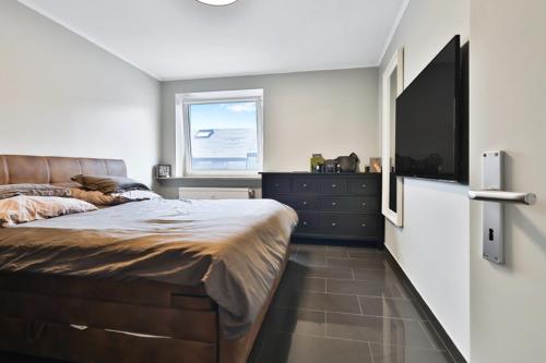 - une chambre avec un grand lit et une télévision dans l'établissement Esch/Alzette apartment, à Esch-sur-Alzette