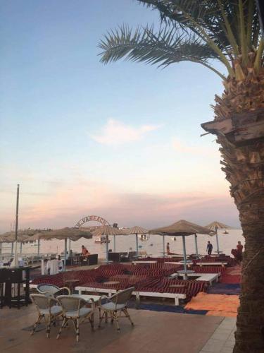 a group of tables and chairs and a palm tree at Naama Inn Hotel in Sharm El Sheikh