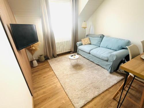 un salon avec un canapé bleu et une télévision dans l'établissement Standing***Appartement 4 personnes, à Reignier-Ésery