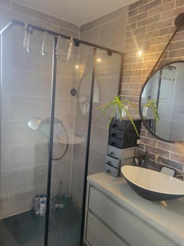 a bathroom with a glass shower and a sink at Chambre d'hôtes Goustranville in Goustranville