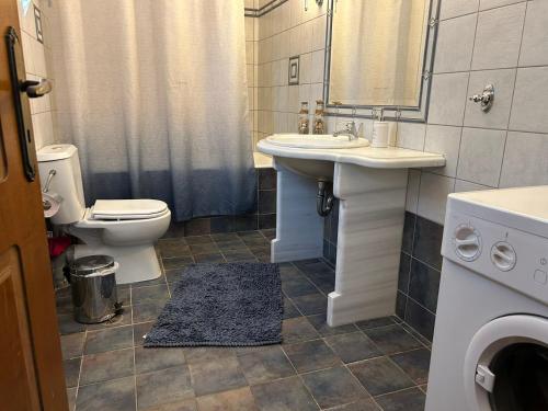 uma casa de banho com um lavatório e um WC em ParadiseHouse em Kékhros