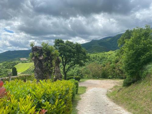 a dirt road in the middle of a field at appartamento Colticciola Agriturismo Marche in Cagli