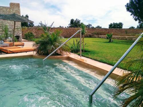 a plunge pool in a backyard with a garden at Riad Mamy Wababi in Essaouira