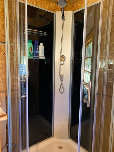 um chuveiro com uma porta de vidro na casa de banho em Reiu majake em Reiu