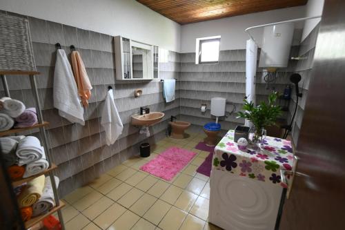 ein kleines Bad mit einem Waschbecken und einem WC in der Unterkunft Holliday House Marko in Hrvace