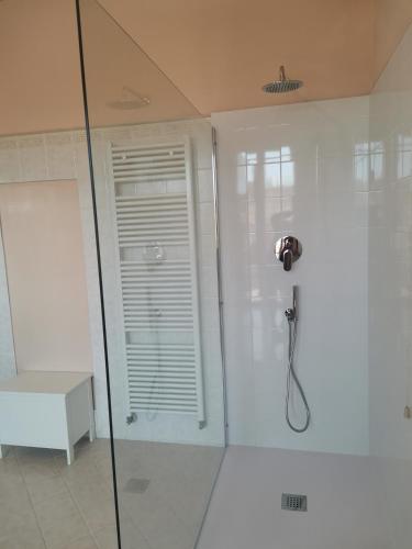 a bathroom with a shower with a glass door at Il Colibrì Bed&Breakfast in Leno