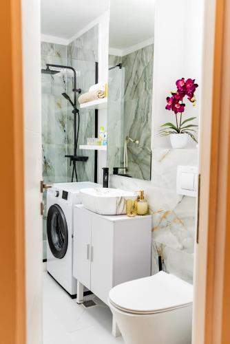 a bathroom with a washing machine and a toilet at Lady-s in Cluj-Napoca