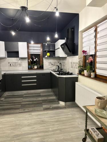 eine Küche mit schwarz-weißen Schränken und einer Spüle in der Unterkunft Calypso House in Jiblea Veche