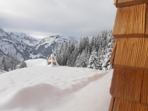 a view of a snow covered mountain with trees at Berghof Ferienhaus in Schröcken