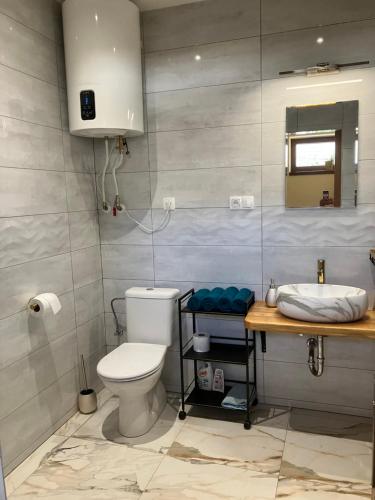 La salle de bains est pourvue de toilettes et d'un lavabo. dans l'établissement Chalúpka pod Javorinou, à Moravské Lieskové
