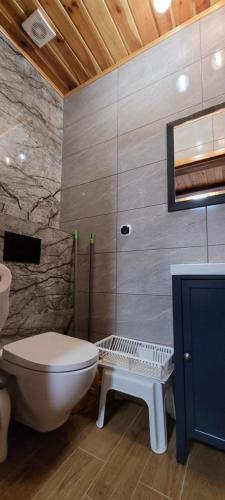 a bathroom with a toilet and a sink at Kama Pobierowo in Pobierowo