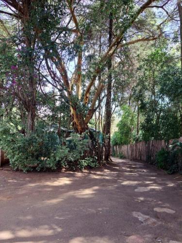 Gallery image of Rosslyn Studios in Nairobi