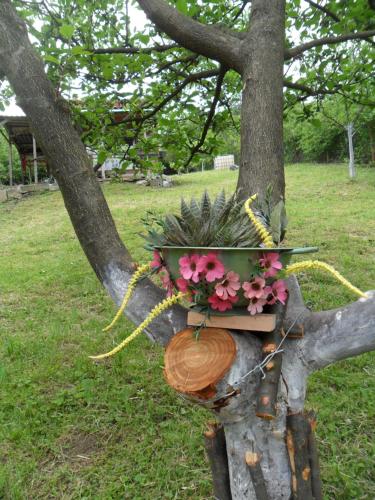 Afbeelding uit fotogalerij van Ravne Konak in Visoko