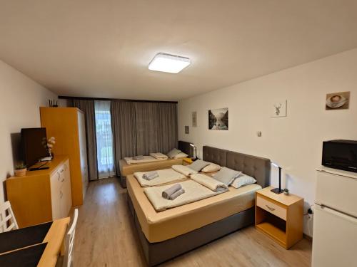 una camera d'albergo con due letti e una televisione di Apartma Vivo a Bovec