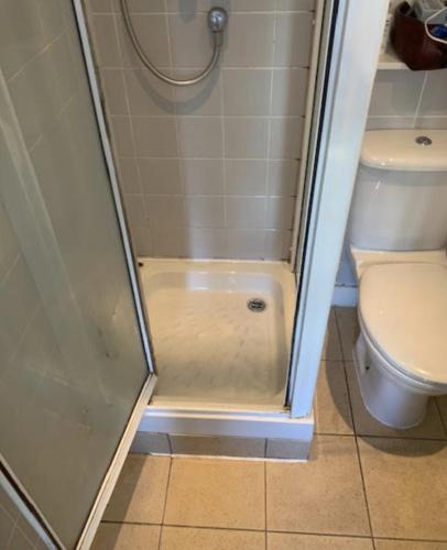ducha con puerta de cristal junto a un aseo en Thomas Place en Dublín