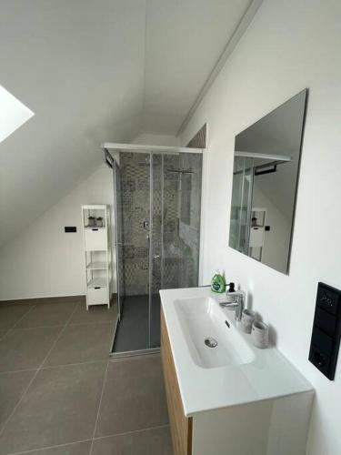 a white bathroom with a sink and a shower at Penthouse Alpenblick in Kempten
