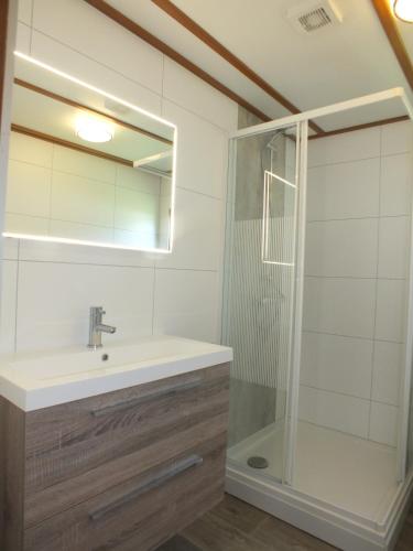 a bathroom with a sink and a shower at Camping de Vogel in Hengstdijk