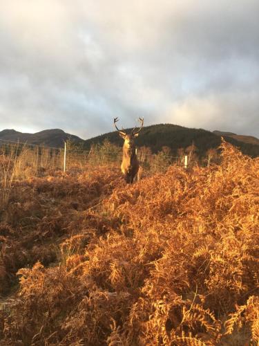 Un paisaje natural cerca de la casa de huéspedes