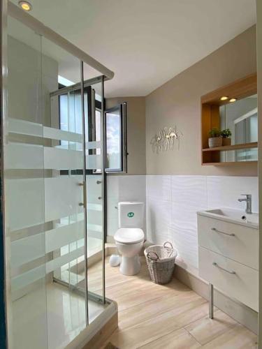 une salle de bain avec toilettes et douche en verre dans l'établissement RDC 2 - Studio meublé centre-ville, au pied du pont Saint Pierre, à Montluçon