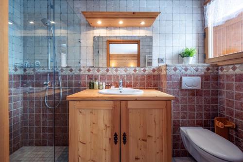 a bathroom with a sink and a shower and a toilet at Madame Vacances Chalet L'Arclusaz in Les Allues