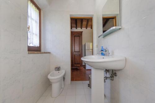 ein weißes Bad mit einem Waschbecken und einem WC in der Unterkunft Santa Lina - Alloro in Pomarance