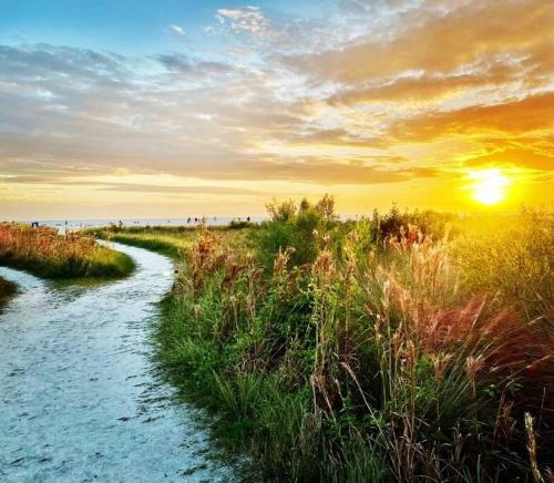 a path through a field with the sunset in the background at Zachs Siesta Key Beach House Heated Saltwater Pool Pet Friendly in Siesta Key