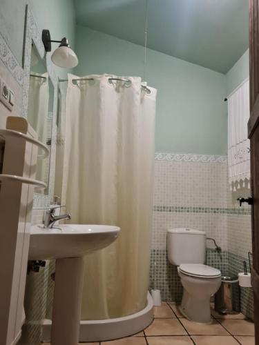 a bathroom with a shower curtain and a toilet at Apartamentos Rurales Candela in Cañamero