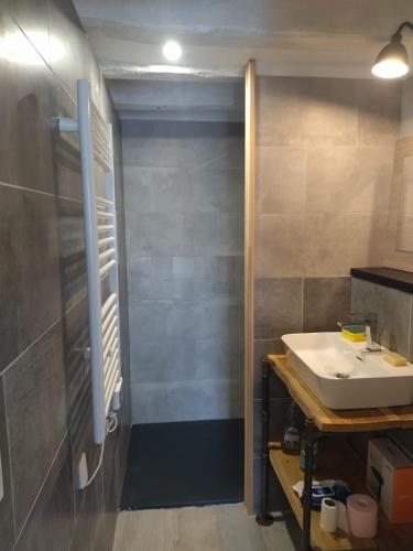 une salle de bain avec un lavabo et une douche dans l'établissement Studio 20 m2 avec salle d'eau et cuisine privatives, à Aigrefeuille-dʼAunis
