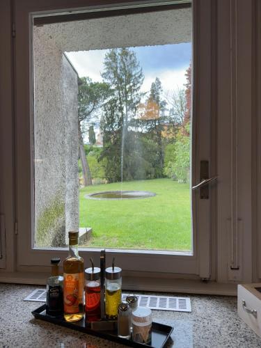 a window with a view of a yard at Residence Rossini in Tavernerio
