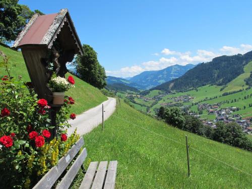 a bench on the side of a hill with flowers at Apartment Lehen by Interhome in Thierbach