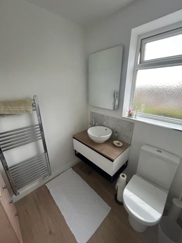 a bathroom with a sink and a toilet and a mirror at Number 10 in Chepstow