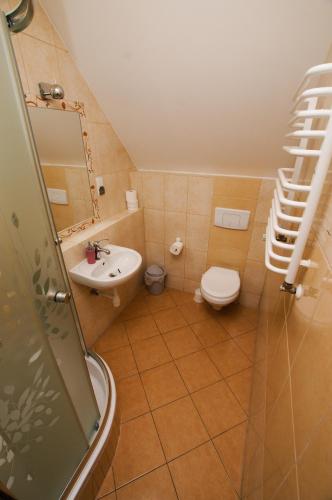 a bathroom with a toilet and a sink at Dańczówka in Lewin Kłodzki