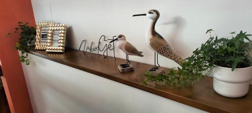 Il Sogno di Jole Apartment photo 42