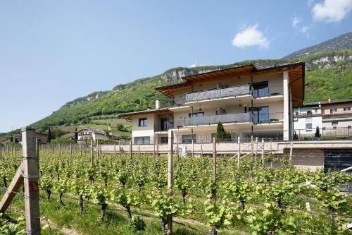 Nespecifikovaný výhled na hory nebo výhled na hory při pohledu z apartmánu