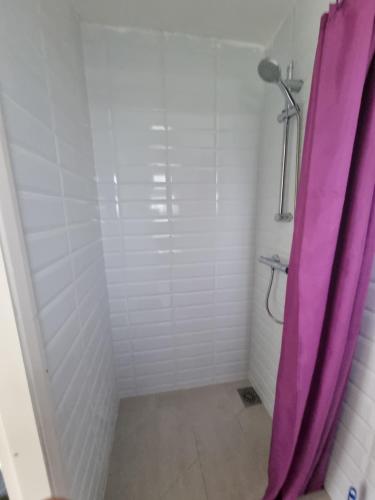 a bathroom with a shower with a purple shower curtain at ilford town house in Ilford
